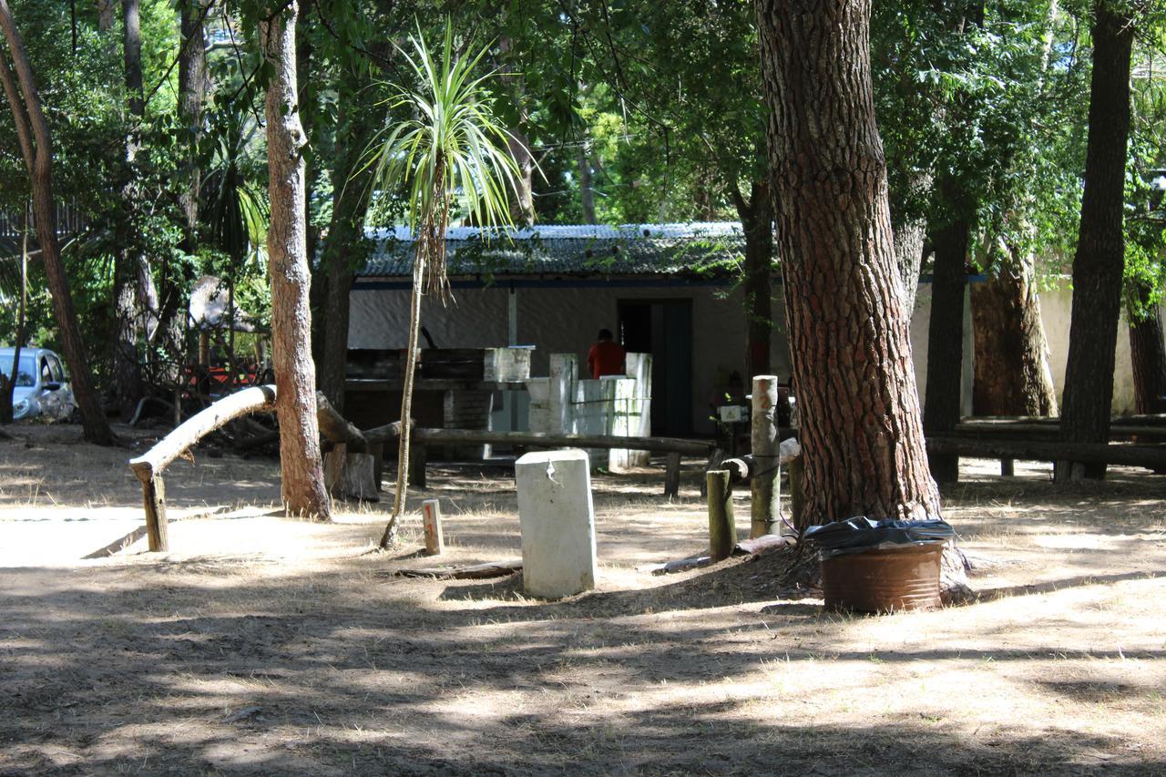 Hostel Ramma Camping Villa Gesell Exterior foto